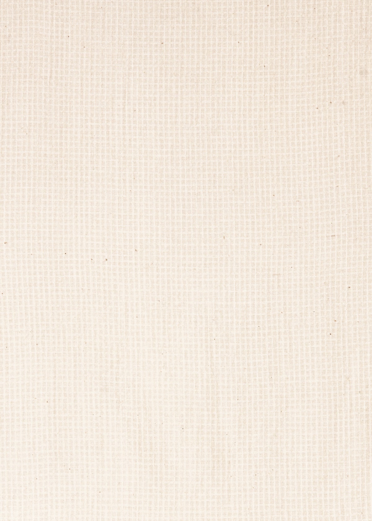 Alma Tiny Checks Top  - Natural